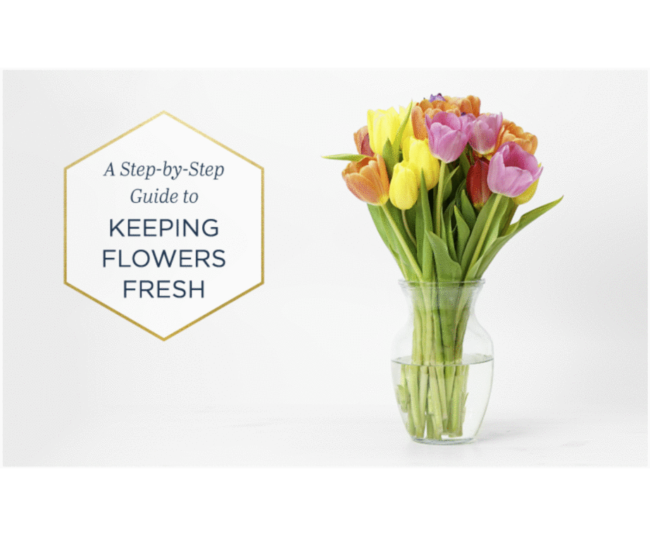 Step by Step guide on how to keep your flower delivery toronto bouquet fresh by using our included packet of flower food. 