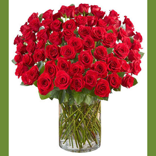 100 Roses in Vase