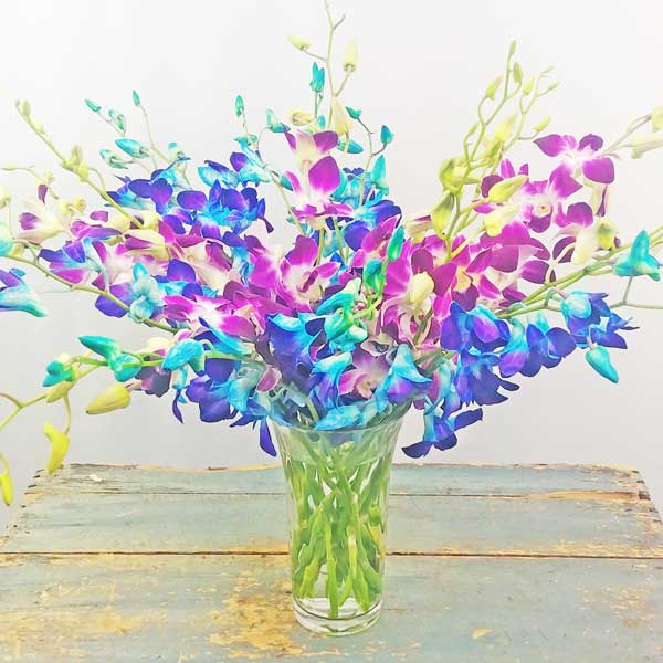 Bouquet d'orchidées Dendrobium de la Saint-Valentin