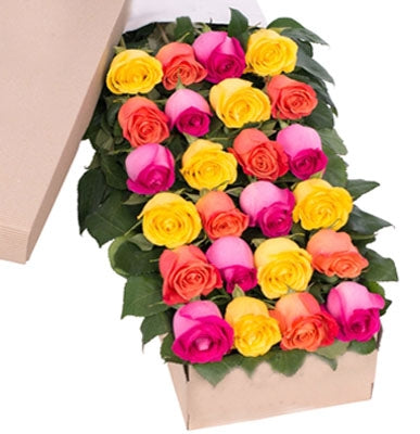 Two Dozen Boxed Roses (Red, Pink, Rainbow, Blue, Purple, Mixed, White, Yellow)