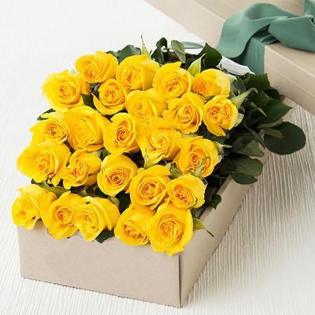 Two Dozen Boxed Roses (Red, Pink, Rainbow, Blue, Purple, Mixed, White, Yellow)