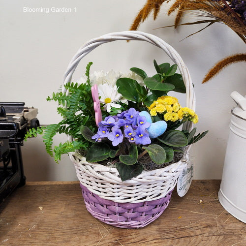 Blooming Garden 1 (Potted Plants)