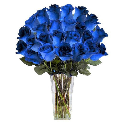 Two Dozen Blue Rose Bouquet