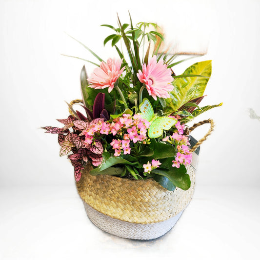 Jardin fleuri 3 (plantes en pot)