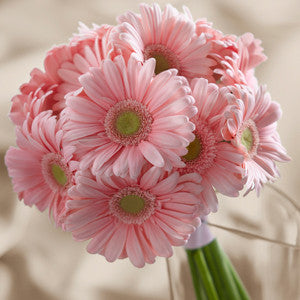 Bouquet - The Daisy Delight™ Bouquet J-W15-4651