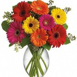 Cheerful Thoughts Bouquet (One dozen Gerberas)