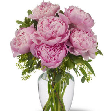 Arrangement de pivoines