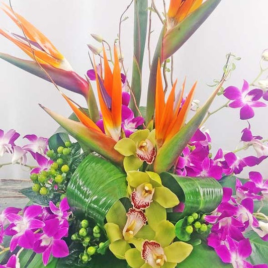Bouquet d'illusions tropicales