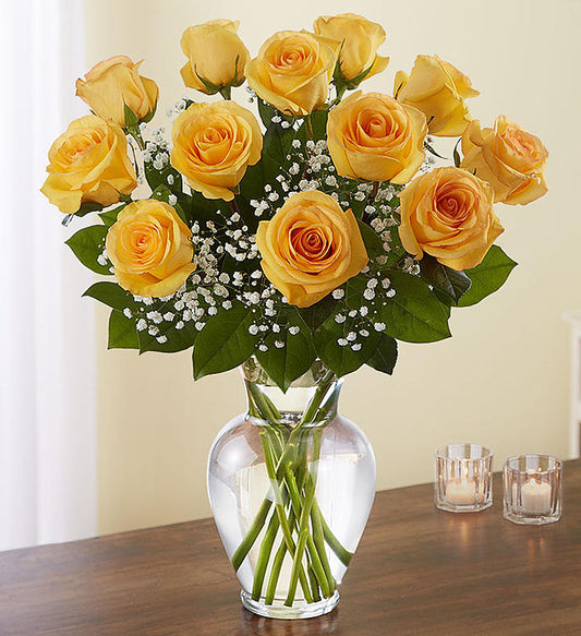12 (une douzaine) de roses jaunes de qualité supérieure dans un vase