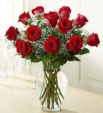Valentine One Dozen Roses In Vase With Baby's Breath