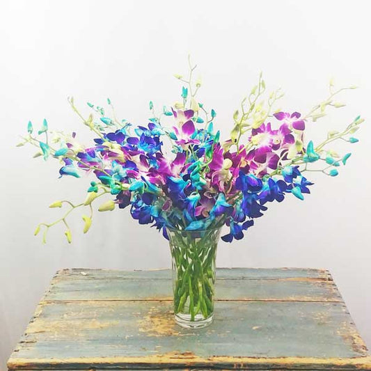 Dendrobium Orchid Bouquet