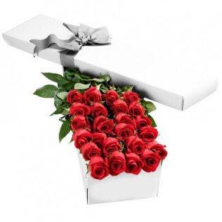 Two Dozen Boxed Roses (Red, Pink, Rainbow, Blue, Purple, Mixed, White, Yellow)