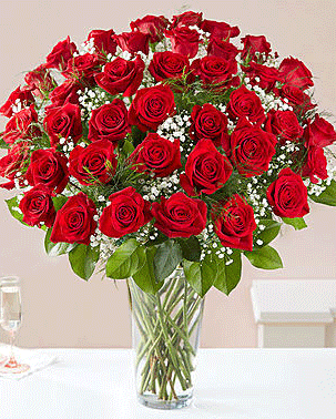 Valentine Love Royale ( 50 roses in vase )