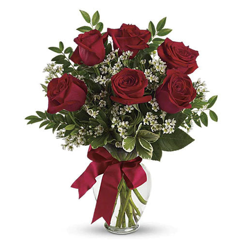 6 Long Stem Premium Roses in Vase ( Red, Yellow, Pink, Hot Pink, Purple, Blue)