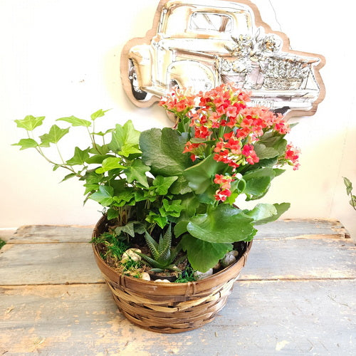 Blooming Garden 4 (Potted Plants)