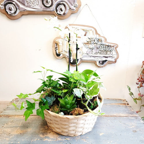 Jardin fleuri 5 (plantes en pot)