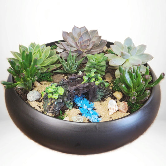 Custom Design Succulent Garden - 1