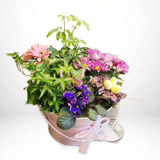 Jardin fleuri 2 (plantes en pot)