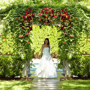 Archway - The Arbor Of Love™ Archway J-W48-4739