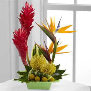 Arrangement - The Exotica™ Arrangement J-C21-4873