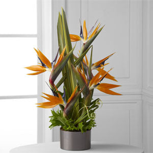 Arrangement - The Tropical Bright™ Arrangement J-C21-4874