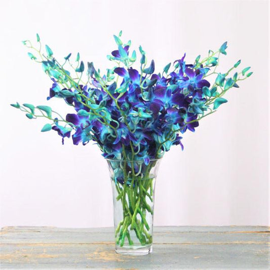 Valentine Blue Orchid Bouquet