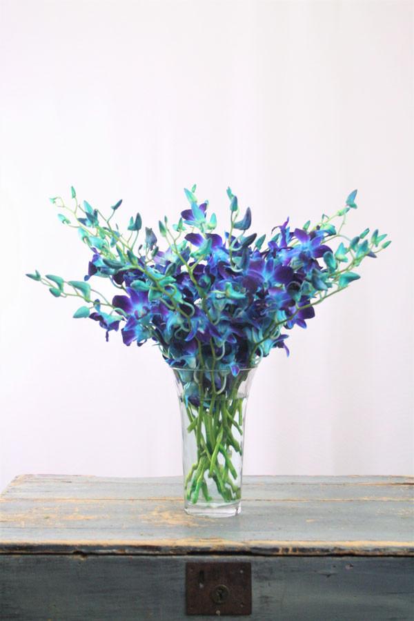 Blue Orchid Bouquet – GTA Flower Delivery