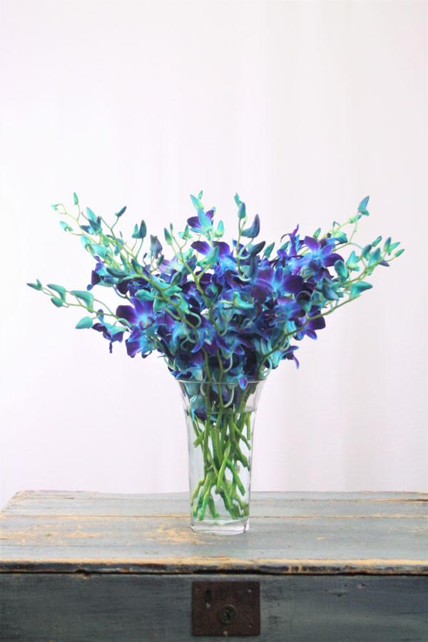 Blue Orchid Bouquet