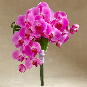 Bouquet - The Glorious™ Bouquet J-W39-4719