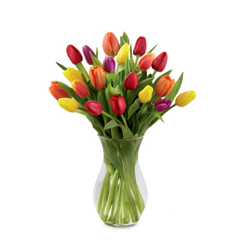 The Bright Spring Bouquet (Twenty  fresh cut tulips)