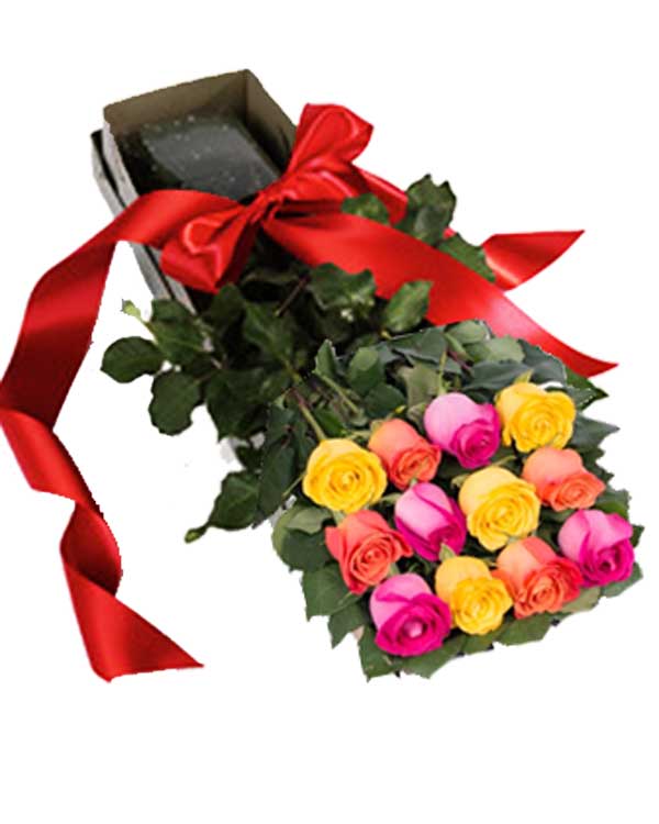 A Dozen Roses Box Dozen Boxed Premium Roses (Red, Pink, Rainbow, Blue, Purple, Mixed, Wh ...