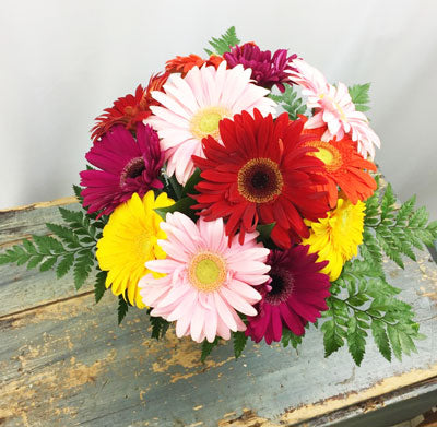Cheerful Thoughts  Bouquet (One dozen Gerberas)