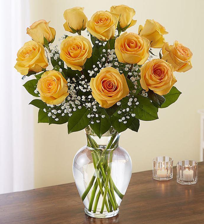 One Dozen Roses In Vase With Baby's Breath